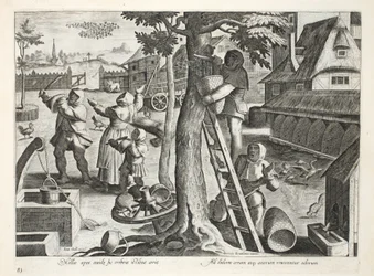 Apicoltori, tavola 83, illustrazione da 